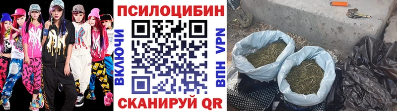 Псилоцибиновые грибы прущие грибы  гидра как войти  Елизаветинская 